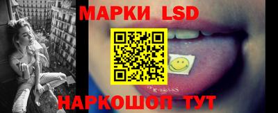 индика Можга