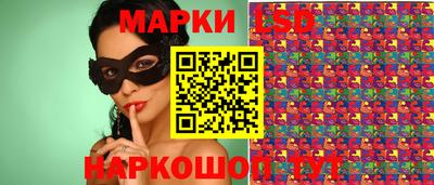 индика Можга