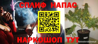 индика Можга