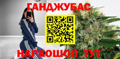 индика Можга