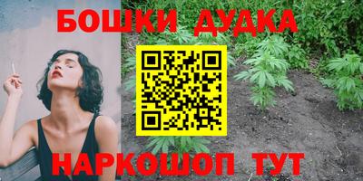 индика Можга