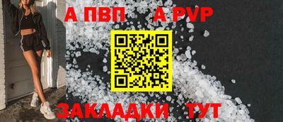 индика Можга