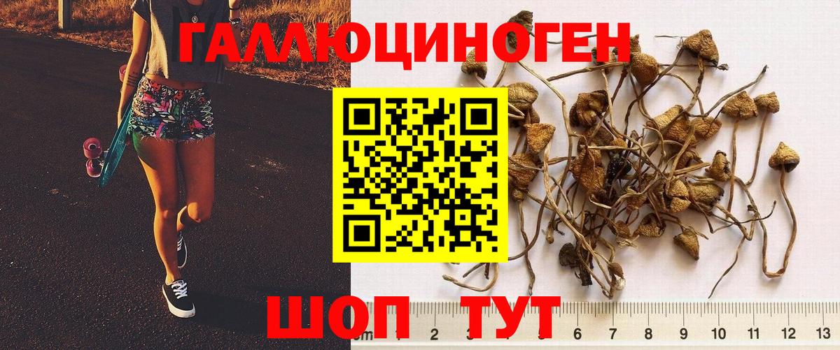 Галлюциногенные грибы Magic Shrooms Томск